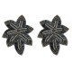 Aretes Palma